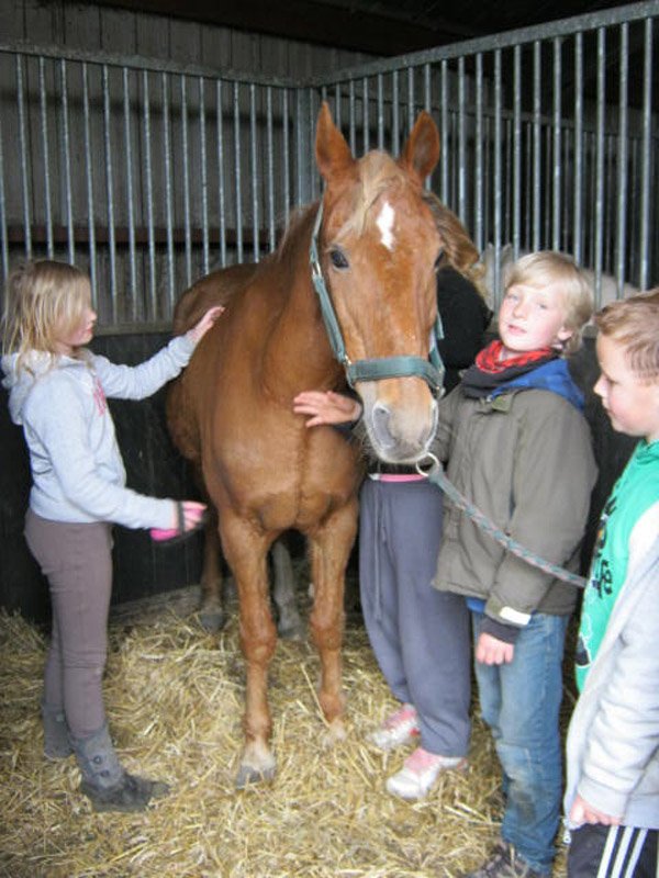 klik op de foto voor de volgende foto