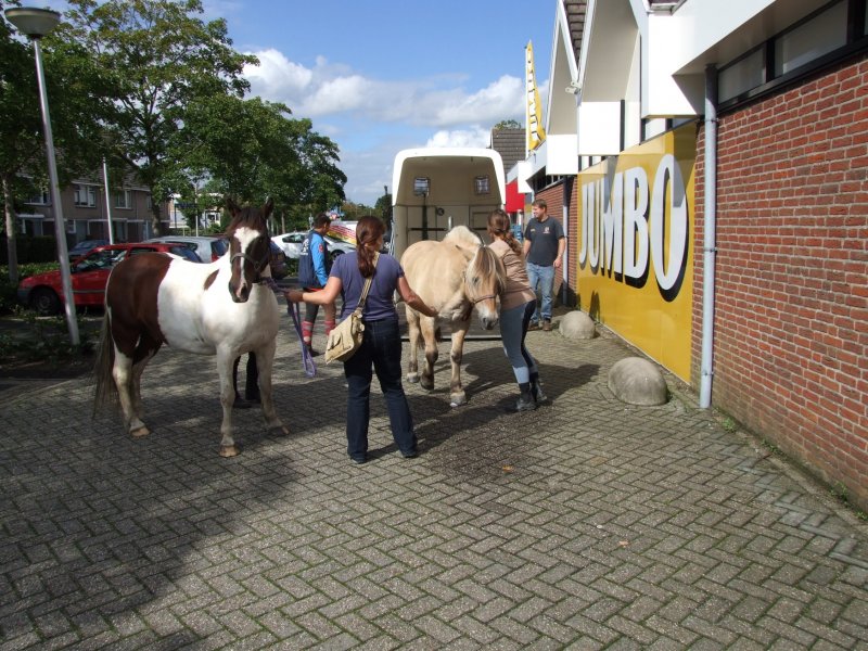 klik op de foto voor de volgende foto